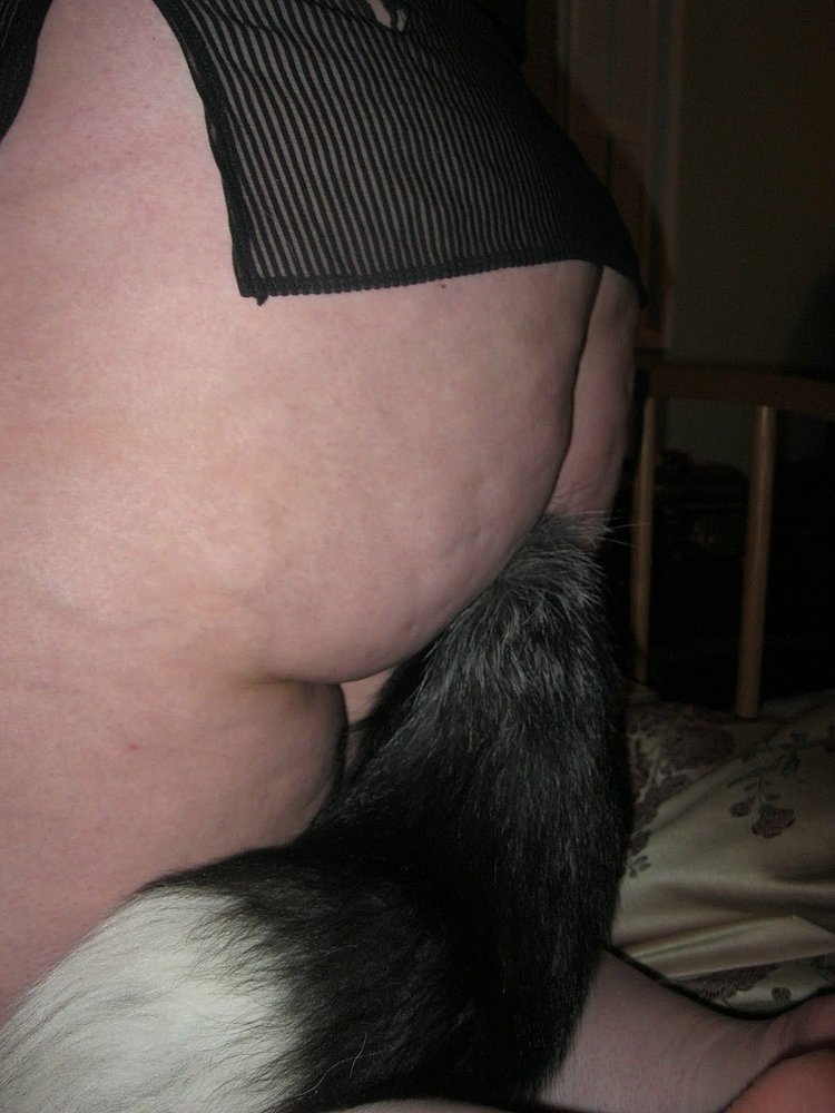 Free Erotic Nylon Photo