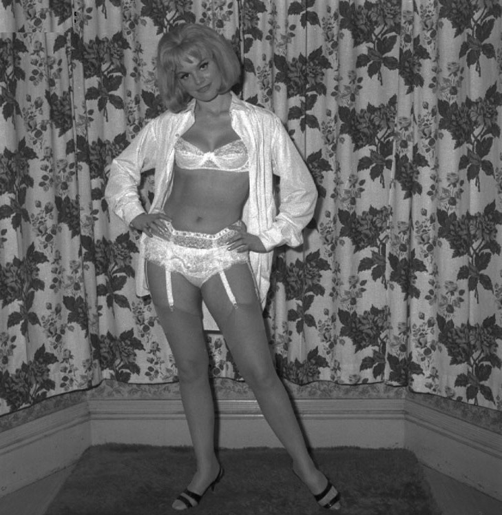 Free Erotic Nylon Photo