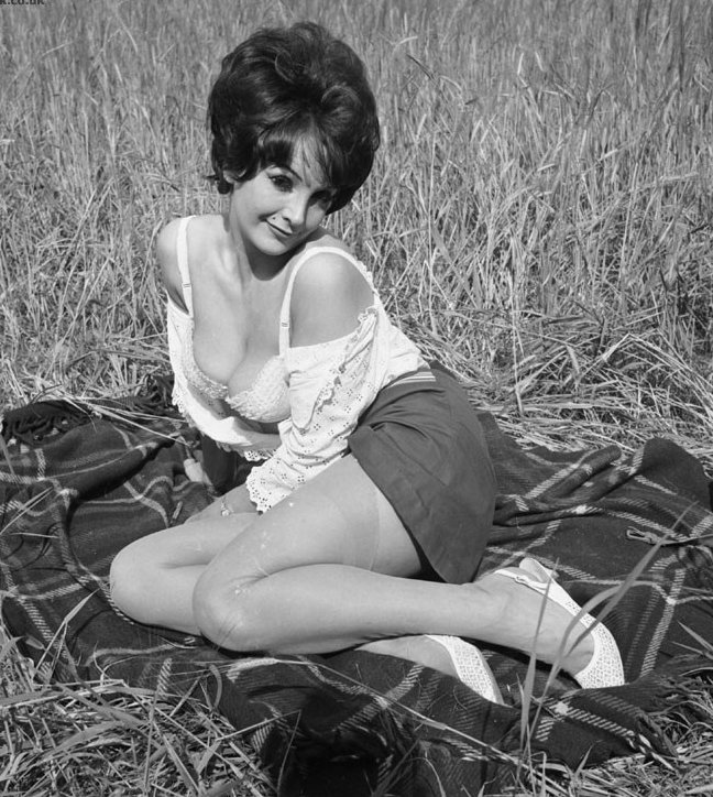Free Erotic Nylon Photo