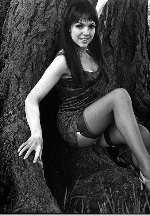 Free Erotic Nylon Photo
